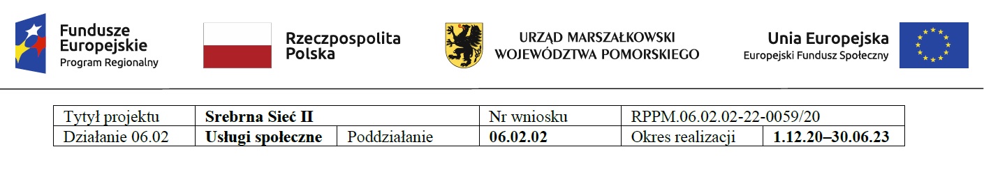 logotyp projektu srebrna siec II