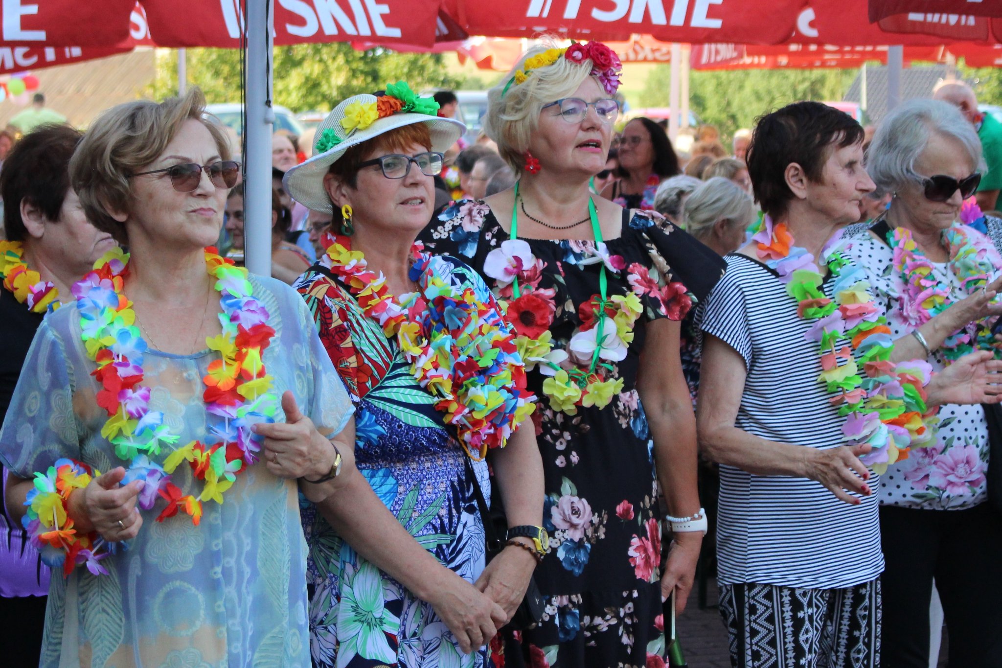 Uczestnicy pikniku przyglądający się występom